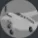 727_dev5272