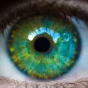 morganizedt