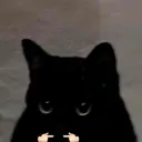 Leo's Avatar