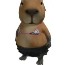 teroobaukotaukoo