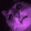 nobanuu