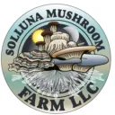 solluna16