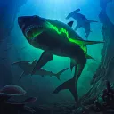 interestingshark