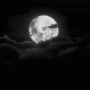 i_have_no_enemyss avatar