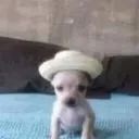 iwasrichy