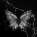 avatar ℬ𝓇ℴ𝓀ℯ