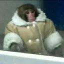 coldmonke