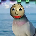 buildergreenmlg751