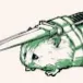 hamster003