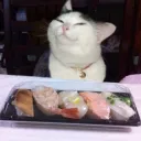 sushiiiiiiieeeeeeee