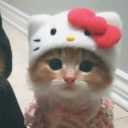 avatar IgorMal1oyy5_