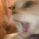 htethy