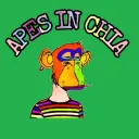 apesonchia