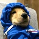 josuyt