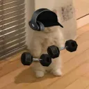 mitxvo