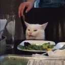 vegan_cat