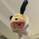 zetanovaa