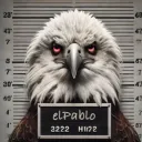 elpablo1505