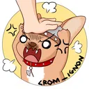 cromignon