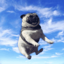 el_doggoo