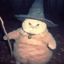 pantsyt