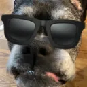 _rdu_