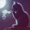 avatar 𝖌𝖊𝖑𝖎𝖙𝖆 ><