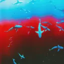 opticaltexas44