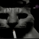 mrleaugan