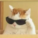 tobiasbee