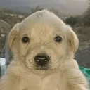 quehagoconmivida._. avatar