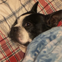 avatar drywall eater