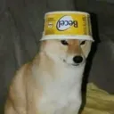 tenientemantequilla0962 avatar