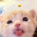 avatar ichsevinjjj                  ˣⁱᵒ