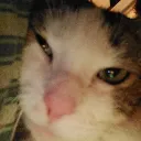 deletingaccount8018