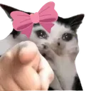 wimpock