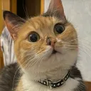 Аватар vaki3820