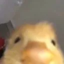 bryann7020