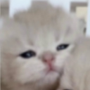 avatar acetona