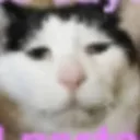 luvkittens.5