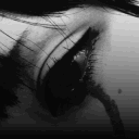 avatar Niz