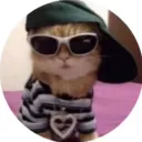 yeboihuman