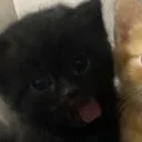 stupidsparky