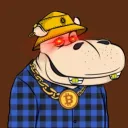 hippodrew2060