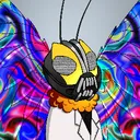 cryptocobkyle