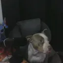 abichuela27