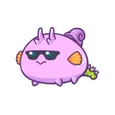doggo4708