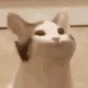 Аватар anicmex