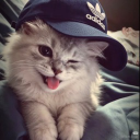 Discord Avatar