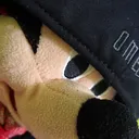 elpolli88